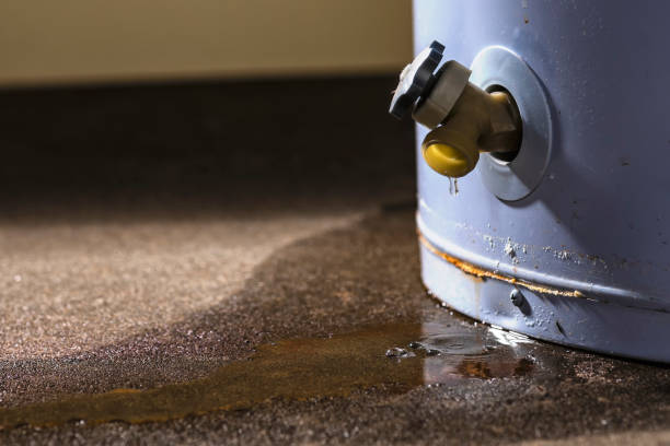 Best Flooded house restoration  in Bourg, LA