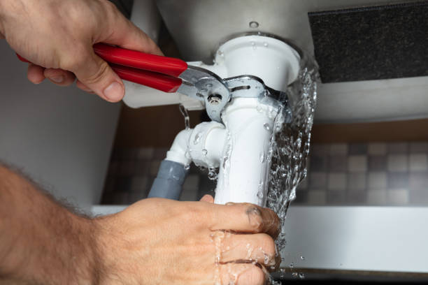 Best Fire Damage Restoration  in Bourg, LA