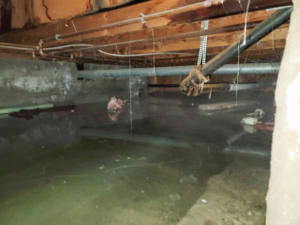 Best Sewage cleanup and water damage restoration  in Bourg, LA