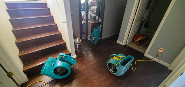 Best Residential water damage restoration  in Bourg, LA