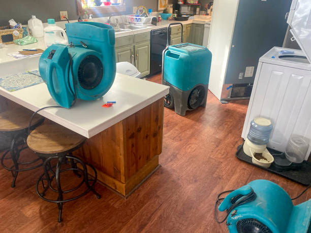 Trusted Bourg, LA Water damage restoration Experts