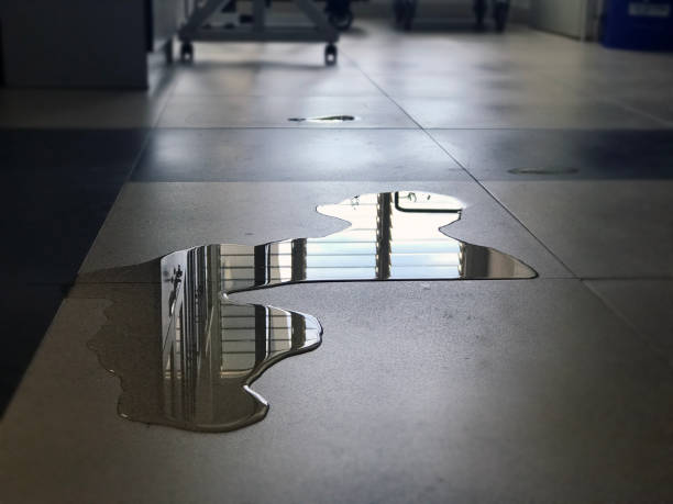 Best Water damage restoration near me  in Bourg, LA