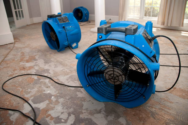 Water damage restoration process in Bourg, LA