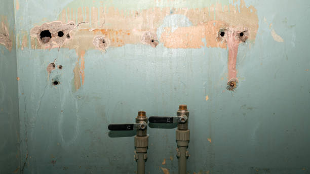 Best Water damage contractors near me  in Bourg, LA