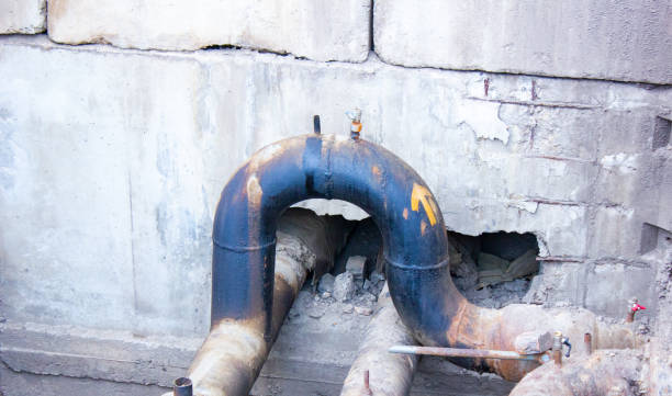 Best Basement water damage restoration  in Bourg, LA