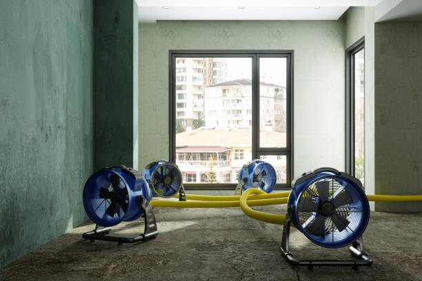 Best Commercial water damage restoration  in Bourg, LA
